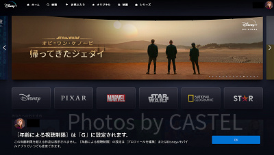 ディズニープラス：年齢制限表示