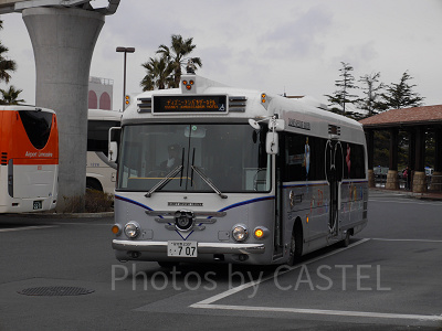 ディズニーリゾートクルーザー