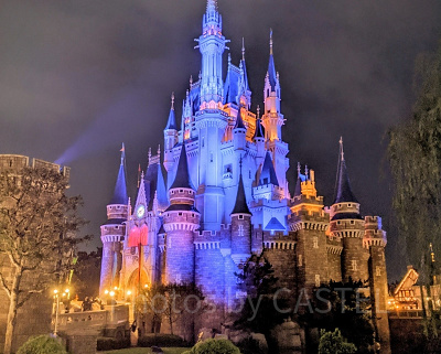 ディズニーチケット：割引・安く買う方法