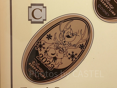 ディズニースーベニアメダル】ディズニーリゾートラインで買えるメダル