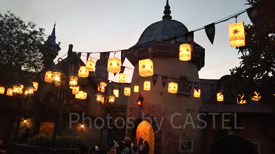 フロリダにはラプンツェルの塔がある？