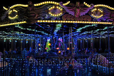 ドルフィンパーティー