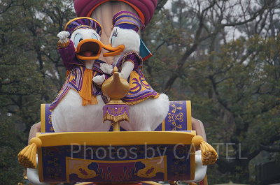 ドナルド＆デイジー