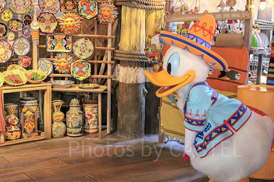 ドナルドダック