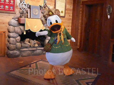 ドナルドダック