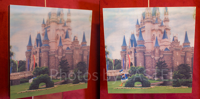 ドナルドフォトパネル