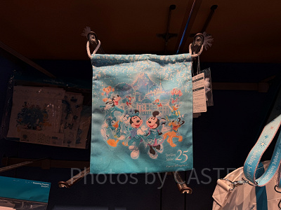 きんちゃく(ディズニーシー25周年グッズ)