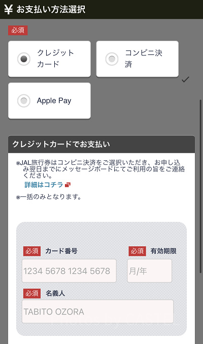 お支払い情報を入力（JAL）