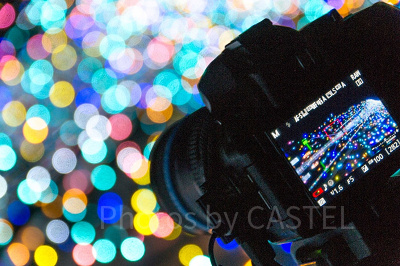 すべてがシャッターチャンス！