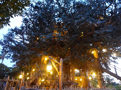 隠れ家的なツリーハウスにワクワク♪