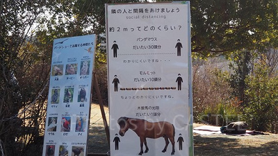 動物たちで解説！ソーシャルディスタンス