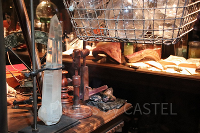 激レアなQラインツアー