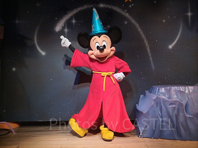 ファンタジア(魔法使いの弟子)