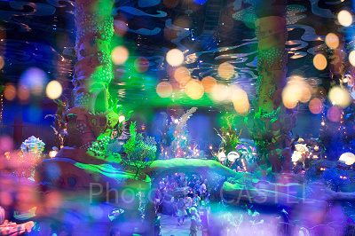 幻想的なマーメイドラグーン