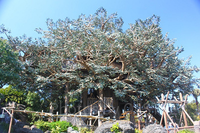 穴場スポットを見つけよう