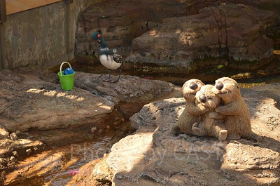 ファインディング・ドリーのプロップス