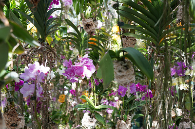Floating Flower Garden: 花と我と同根、庭と我と一体