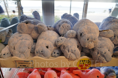 ふわふわマナティ