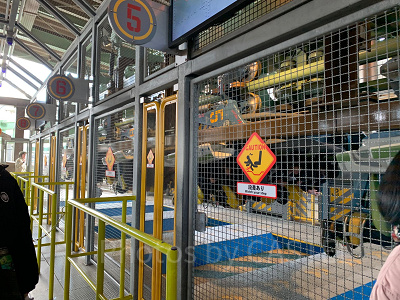 フライングダイナソー