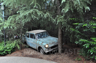空飛ぶフォード・アングリア/ハリーポッターエリア