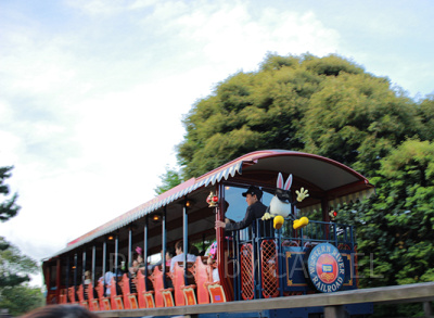 イースターの期間限定で、うさたまが遊びに来ています。いたずらしないでね？