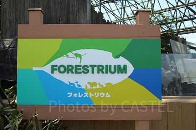 フォレストリウム