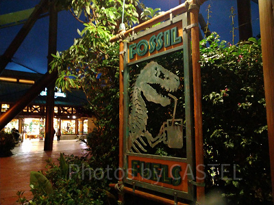 フォッシルフュエルズ