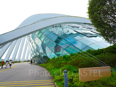 ガーデンズバイザベイ：フラワードーム