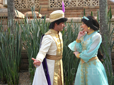 アラジンと一緒に登場するジャスミン