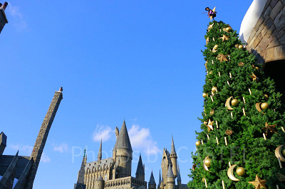 ハリ－・ポッタ－エリアのツリ－