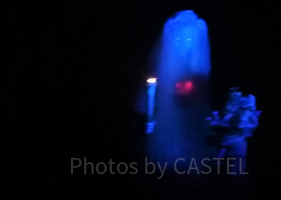 ホーンテッドマンション：花嫁