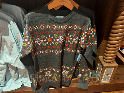 香港ディズニーアナ雪グッズ：ニットセーター