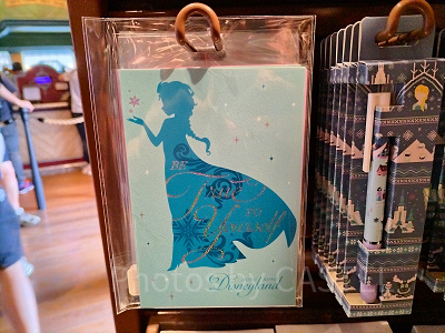 香港ディズニーアナ雪グッズ：ポストカードセット