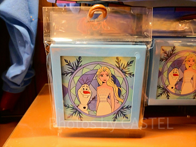 香港ディズニーアナ雪グッズ：スクエア写真立て