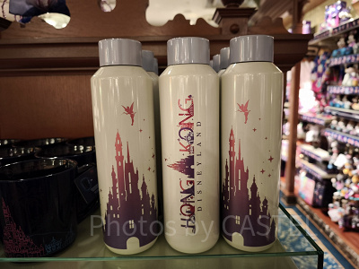 香港ディズニー20周年・スカイライングッズ：ドリンクボトル