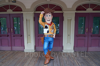 ホースシュー・ラウンドアップ（イメージ）