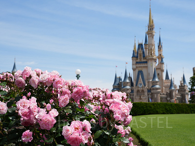 2023年3月の混雑具合は？