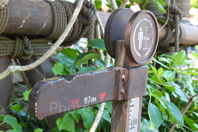 身長はどのように計測されるの？