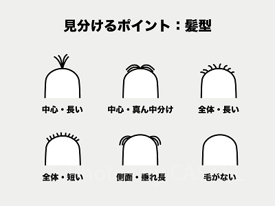ミニオンの見分け方③：髪型