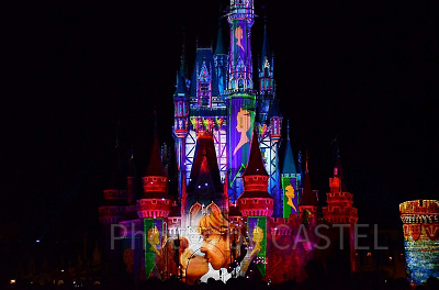 美しいショーは絶対観たい