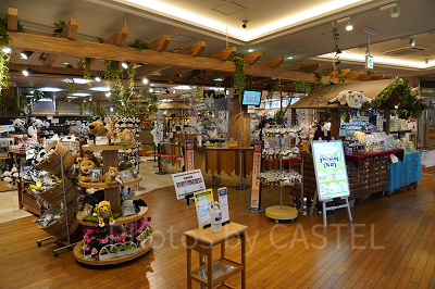 サファリな雰囲気の店内