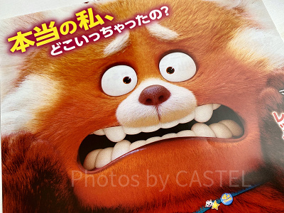 『私ときどきレッサーパンダ』の主題歌をご紹介！