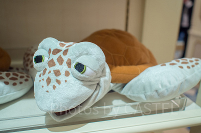 クラッシュの話術はプロの芸人並み？！