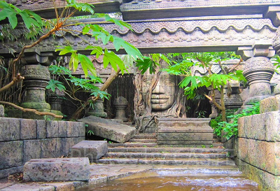 ジャングル・クルーズのあらすじ