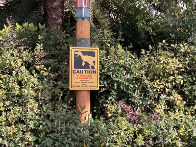 ターキーレッグの香りただようジュラシック・パーク