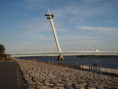 バーベキュー会場近くの葛西渚橋