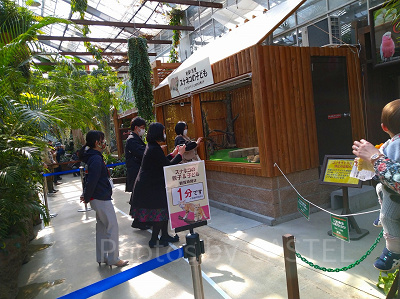 神戸どうぶつ王国の親子展示