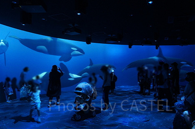 ブルールーム内の大型スクリーン