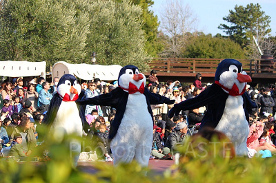 ディズニーシーへは履きなれたクツで行こう