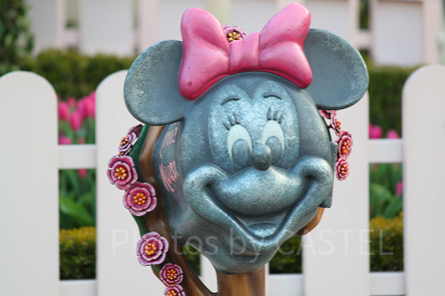 ミニーに会いに行こう